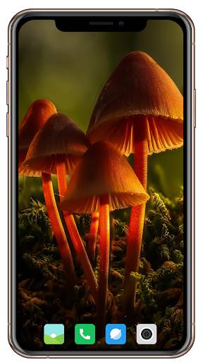 HD Mushroom Wallpaper screenshot 16