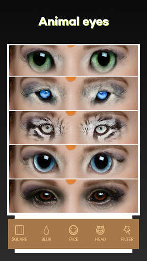 Beauty Face Plus :  face morphing screenshot 4