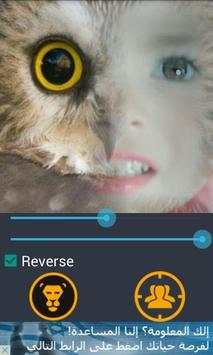 Face Morphing screenshot 4