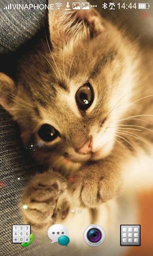 Cat Live Wallpaper HD 4K screenshot 16