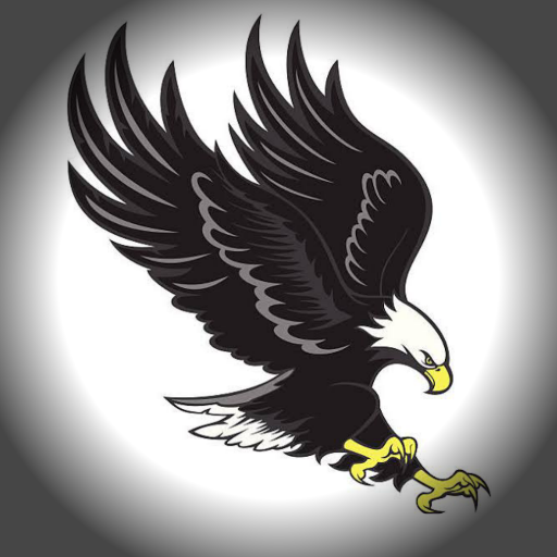 Eagle VPN |India's own VPN icon