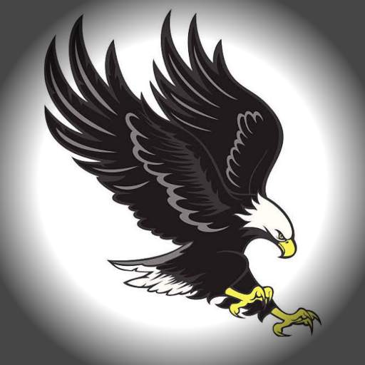 Eagle VPN |India's own VPN 3.5