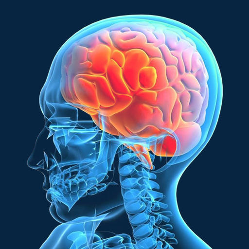 Brain Test: Memory Games icon
