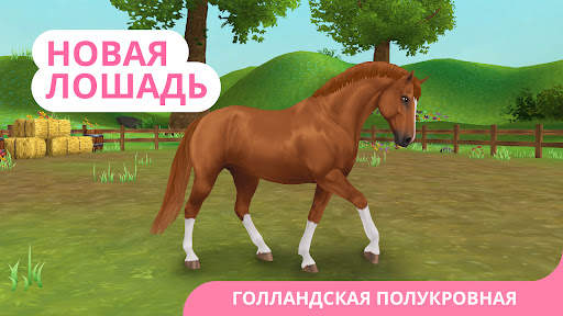 Star Stable Horses скриншот 1