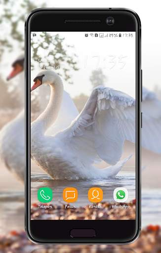 Bird Wallpaper screenshot 3