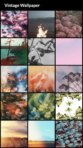 Vintage Wallpapers screenshot 2