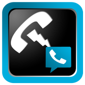 Call Interceptor: Google Voice icon