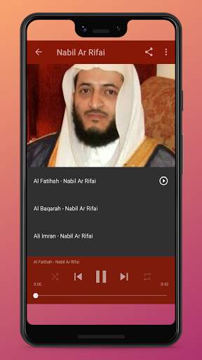 Alquran 30 Juz Mp3 (Full Online) screenshot 8