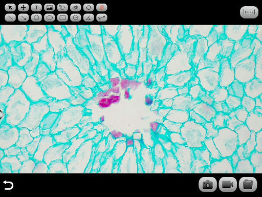 KoPa WiFi Lab screenshot 4