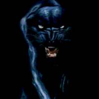 Big Cat