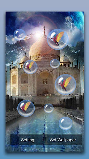 Taj Mahal Live Wallpaper screenshot 4
