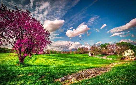 Spring Wallpaper HD screenshot 4