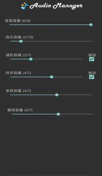 Audio Manager screenshot 1