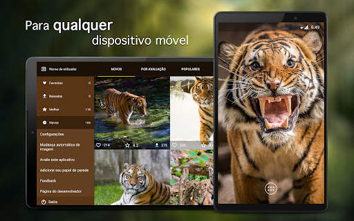 Papéis de parede com tigres 4K screenshot 6