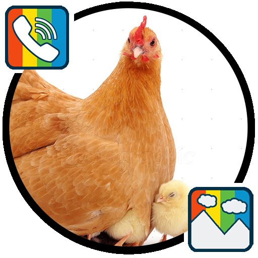 Hen sounds for Ringtones and Wallpapers icon