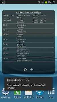 Cricket Livescore Widget screenshot 6