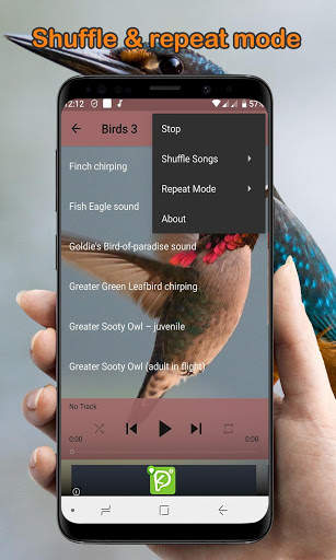 Bird Calls, Sounds, & Ringtones (Offline) скриншот 4