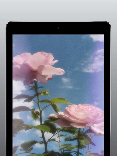 Pink Aesthetic Wallpaper screenshot 9
