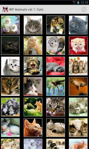 Wallpapers Animals Series 1 screenshot 2