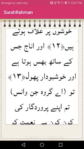 Surah Rehman By Abdul Basit screenshot 5