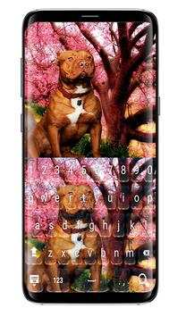 American pitbull Sakura keyboard theme screenshot 1