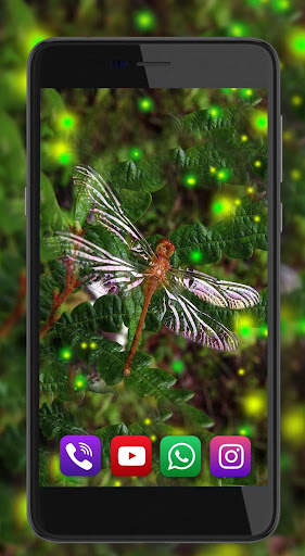 Dragonfly Live Wallpaper screenshot 3