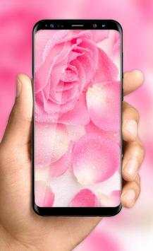 Pink Rose Live Wallpaper HD Phone Background 1 تصوير الشاشة
