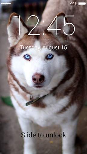 Husky Lock Screen screenshot 7