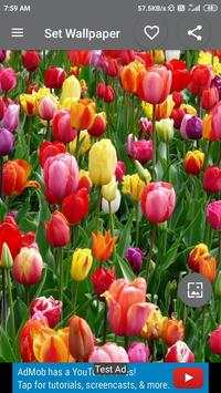 Best 10K  HD  Wallpapers App 2020 6 تصوير الشاشة