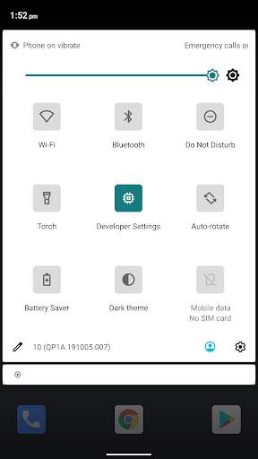 Developer Settings screenshot 5