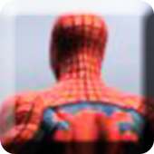Spider Web of Shadows Fight