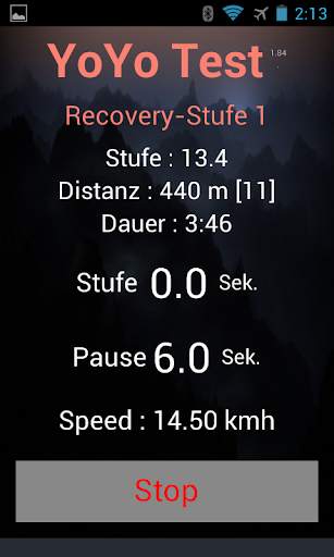 Yo-Yo Intermittent Test screenshot 3