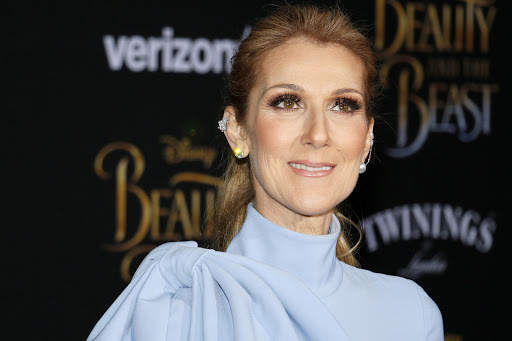 Céline Dion Songs Offline screenshot 1