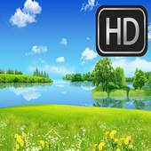 HD Wallpapers For ZTE 2.1