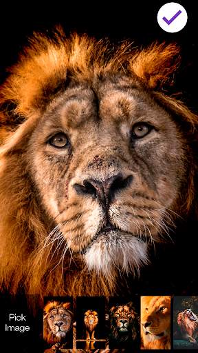 Lion Wallpaper Smart King Teen screenshot 3