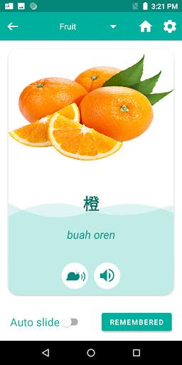 Malay Chinese Translator 4 تصوير الشاشة
