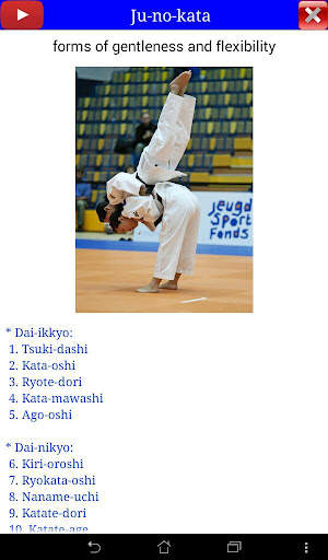 Judo in brief screenshot 11