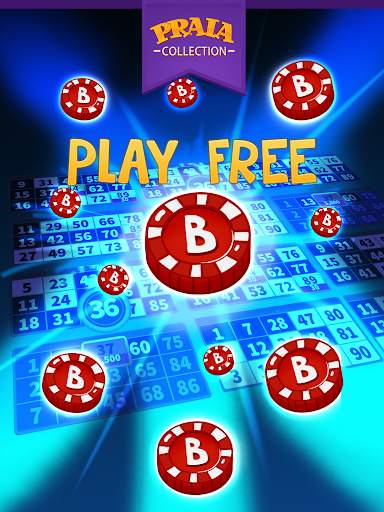 Video Bingo Jeri screenshot 10