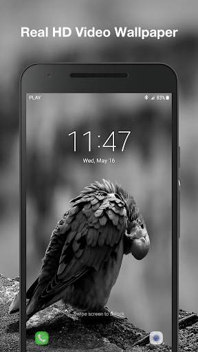 Real Bird Live Wallpaper PRO screenshot 3