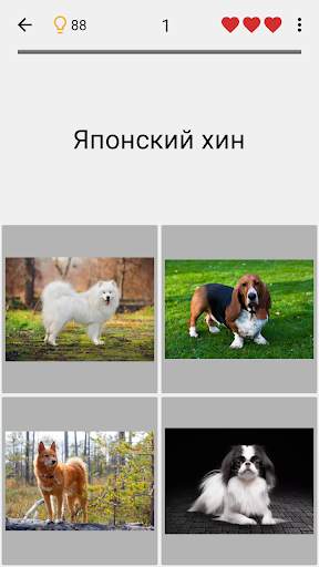 Собаки - Фото-тест про популярные породы собак скриншот 4