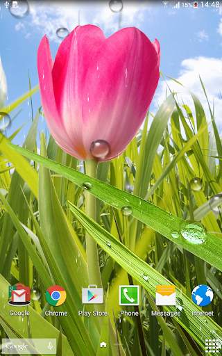 Spring Live Wallpaper screenshot 8