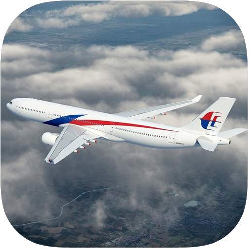 3D Airplane Flight Sim 1.0