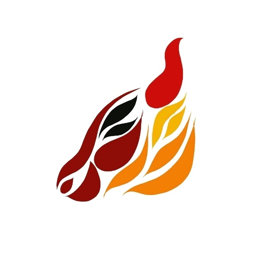 Rekla Race icon