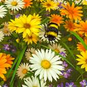 Bee Live Wallpaper HD on 9Apps