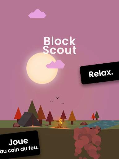 Block Scout - Empile et Relax screenshot 12