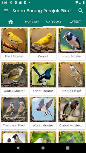 Suara Burung Prenjak Pikat screenshot 2