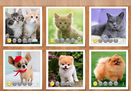 Kids Puzzles - Animals & Car screenshot 4