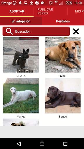 Dog Lovers screenshot 1