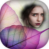 Transparent photo frames icon