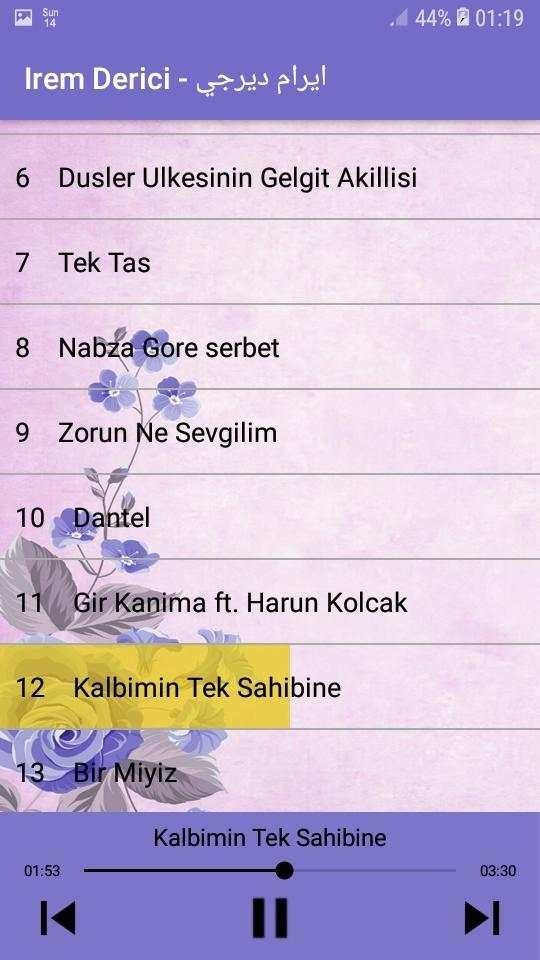 İrem Derici - Best 20 songs - ايرام ديرجي screenshot 2